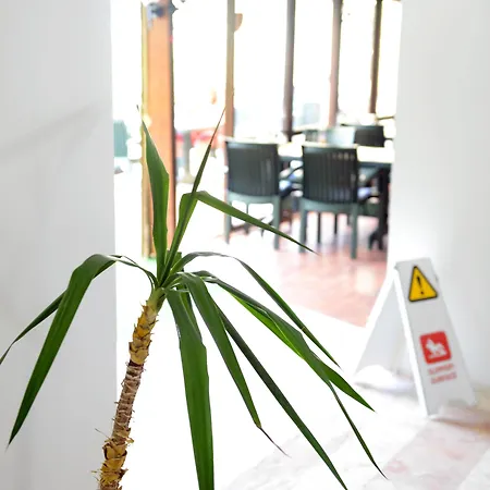 Ξενοδοχείο Alibabam & 2*