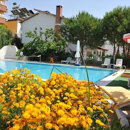 Alibabam & 2* Kuşadası